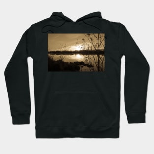 seed heads Hoodie